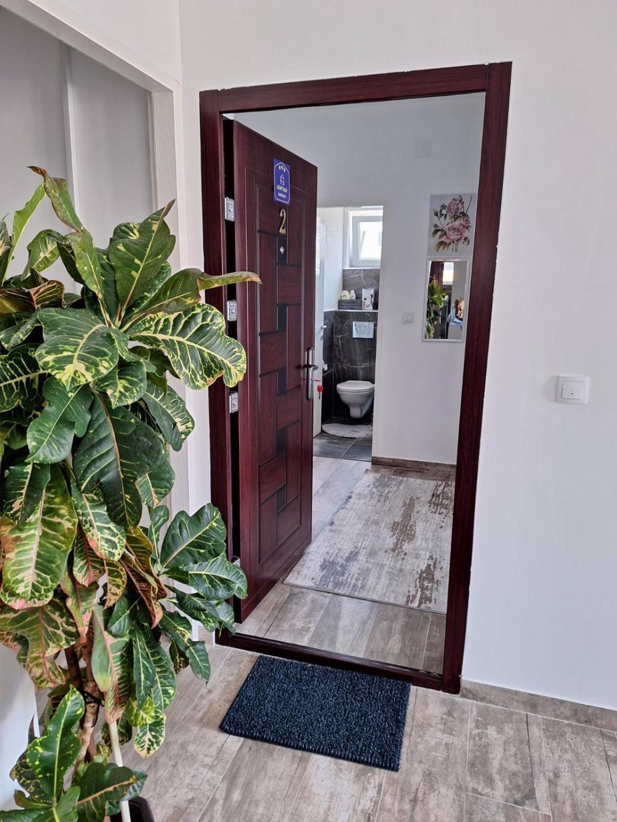 Apartmani Koki Kladovo Exterior photo